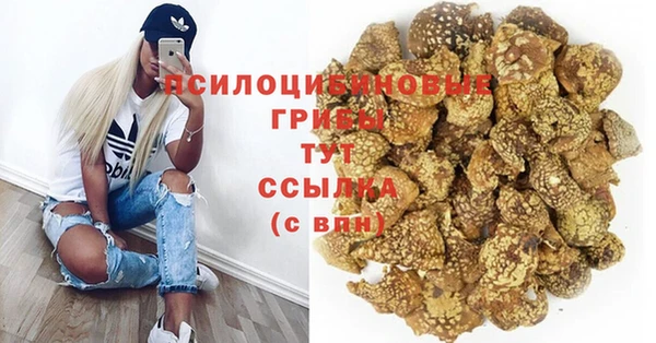 дживик Алексин