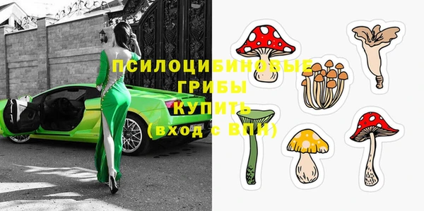 дживик Алексин