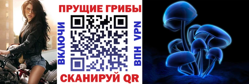 Галлюциногенные грибы мицелий цена наркотик Звенигово